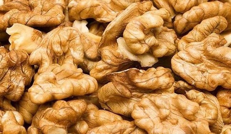 Mendoza refuerza controles para garantizar el traslado seguro de frutos secos durante la cosecha 2026