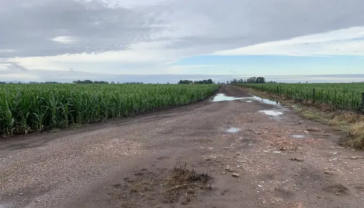 Febrero dejó lluvias por debajo del promedio y reservas hídricas desiguales en la región pampeana