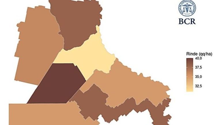 La sequía recortó más de 1 millón de toneladas de soja en la región núcleo