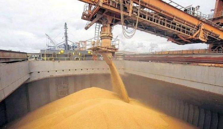 La escalada en Medio Oriente incrementa la volatilidad en los mercados globales de granos