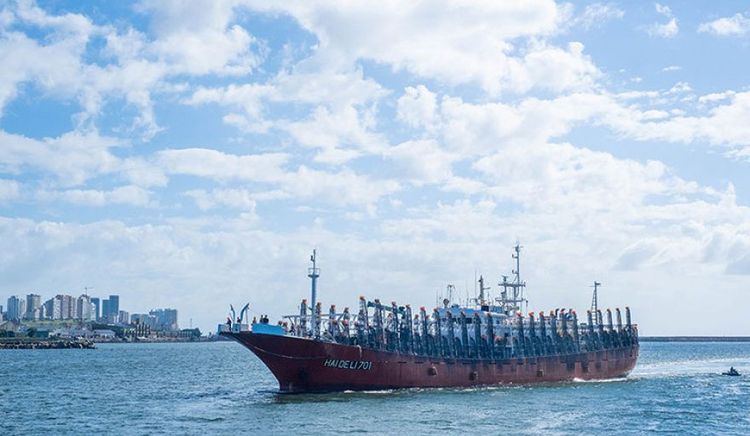 Ante la caída de rendimientos en el sur, inicia la prospección de calamar al norte del paralelo 44°S