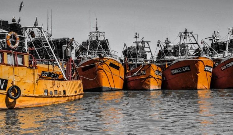 CAPIP advierte por el impacto de los costos y pone en duda la rentabilidad de la temporada de langostino