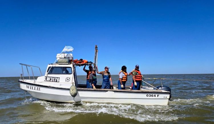 El INIDEP realizó una evaluación de juveniles de corvina rubia en la Bahía Samborombón