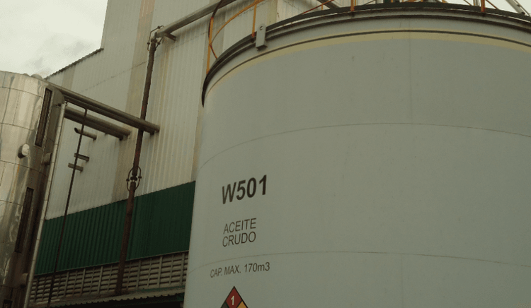 La soja refuerza su vínculo con el mercado energético en Estados Unidos