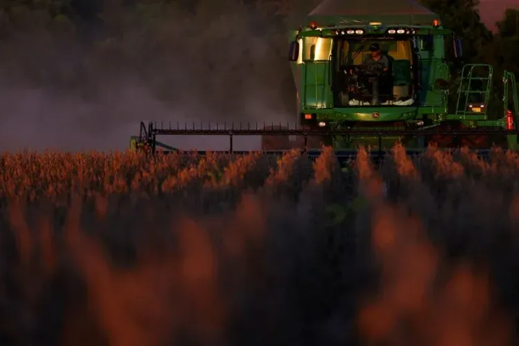 Actualizan las estimaciones agrícolas: sube el maíz y se sostiene la soja