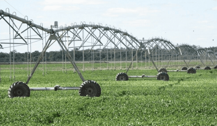 El RIMI contempla beneficios especiales para el agro: amortización en un año para riego, mallas antigranizo y genética animal sin monto mínimo de inversión
