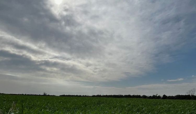 Lluvias contrastantes y descenso térmico marcarán la semana en el área agrícola argentina