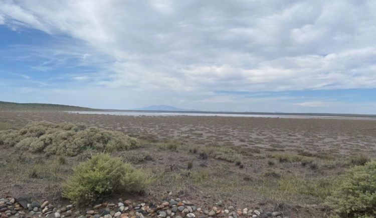 El Gobierno de Mendoza envió a la Legislatura la Declaración de Impacto Ambiental del proyecto de exploración de litio "Don Luis y Otro"