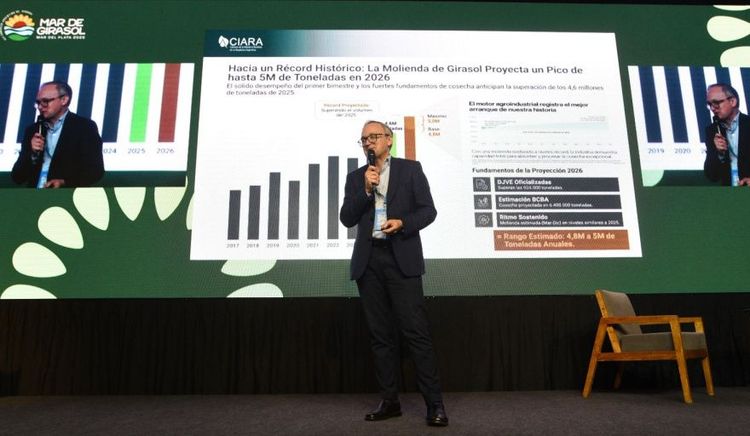El girasol “es la estrella” pero enfrenta desafíos para consolidar su crecimiento