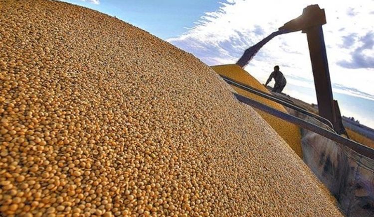 Paraguay embarcó 814.000 toneladas más de soja y sumó US$ 1.440 millones en divisas