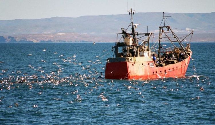 El sector pesquero argentino exportó US$ 667,8 millones en el primer trimestre de 2026