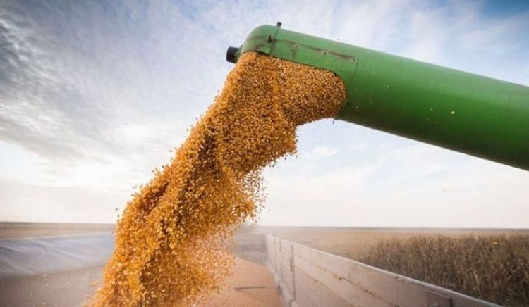 Argentina reglamentó el acceso a las cuotas arancelarias del Acuerdo Mercosur-UE para la agroindustria
