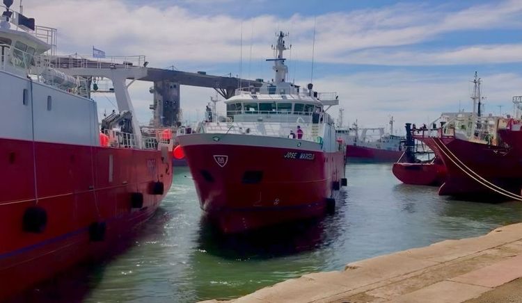 Mar del Plata lidera los desembarques pesqueros de abril con 29.213 toneladas