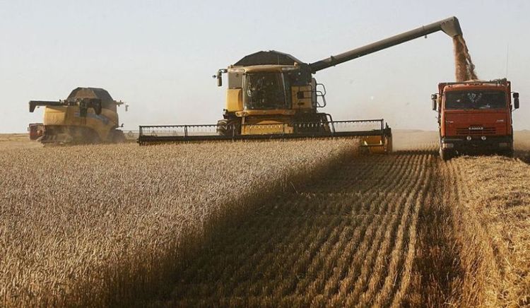 El complejo agroexportador liquidó más de US$ 2.400 millones en abril
