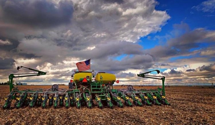 El USDA reportó un avance del 38% en la siembra de maíz en EE.UU. y la soja supera los promedios históricos con el 33% del área implantada