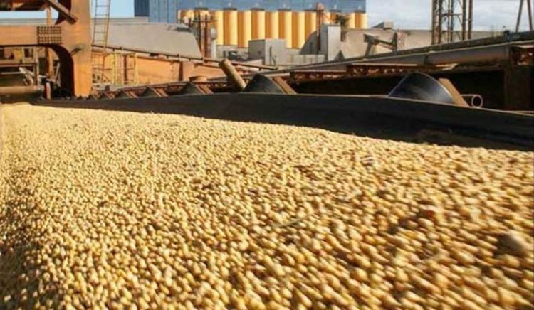 El Panel Agroindustrial Regional registró suba de precios, caída en salarios reales y retroceso en exportaciones durante el primer trimestre de 2026