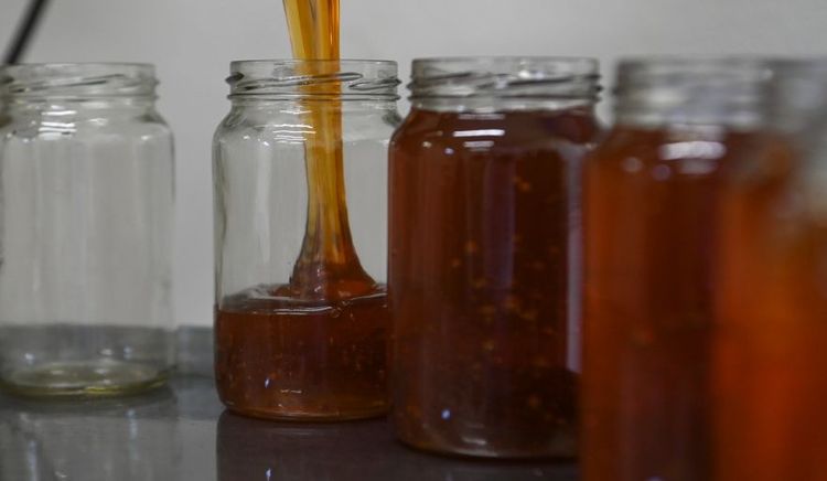 Miel, cítricos y papas prefritas tuvieron su mejor trimestre exportador desde 2019