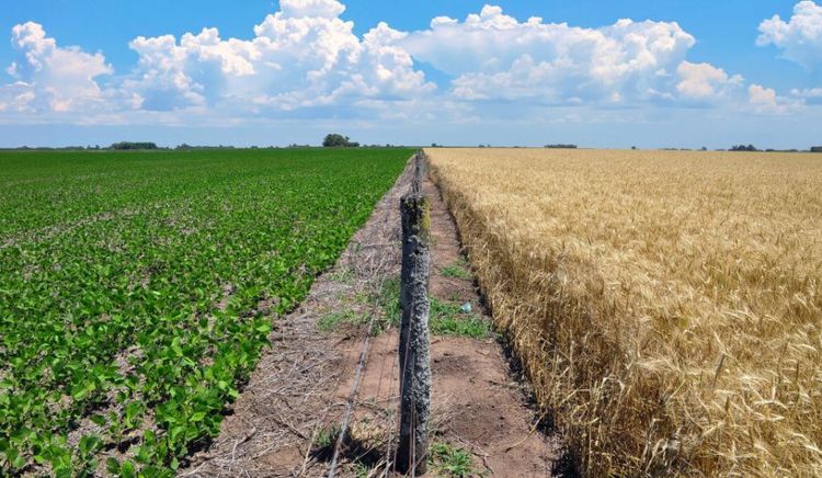 CASAFE llevó a Bruselas el liderazgo argentino en bioinsumos para impulsar la convergencia regulatoria con la Unión Europea