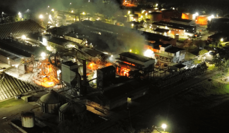 Un incendio en la planta de Ricardone de Nueva Vicentin Argentina causó graves daños y suspendió la recepción de girasol