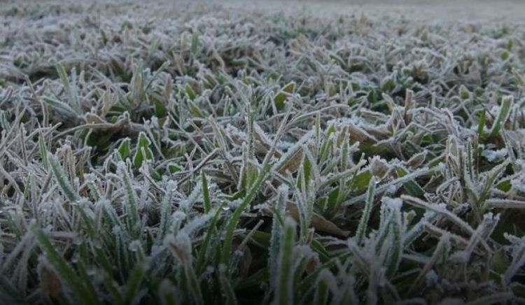 Heladas generales en el oeste agrícola y lluvias escasas en la mayor parte del territorio: el panorama climático para las próximas dos semanas