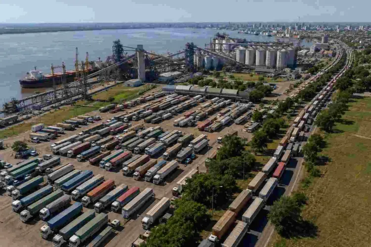 Más de 80.000 camiones ingresaron a puertos, fábricas y molinos en las dos primeras semanas de mayo: la soja lideró el movimiento con más del 52% del total