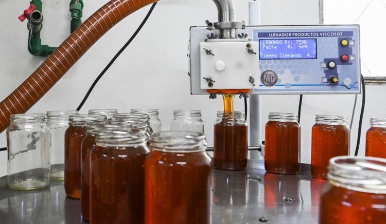 Las exportaciones de miel alcanzaron en el primer trimestre de 2026 el récord de los últimos 20 años en valor y volumen