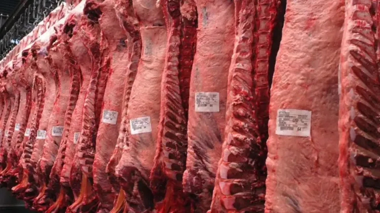 La faena vacuna cayó 15,3% interanual en abril y las exportaciones superaron los 1.000 millones de dólares en el primer trimestre