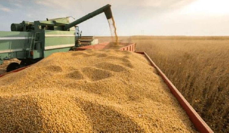 Paraguay exportó 3,9 millones de toneladas de soja en los primeros cuatro meses de 2026