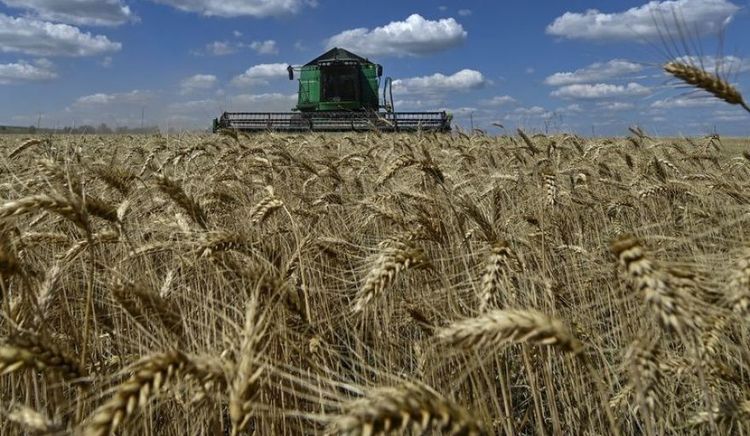 La baja de retenciones al trigo y la cebada mejora el FAS teórico entre USD 4,8 y 4,9 por tonelada