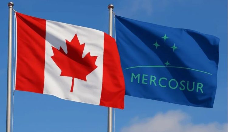 Argentina y Canadá negocian un acuerdo comercial en el momento de mayor dinamismo bilateral en décadas