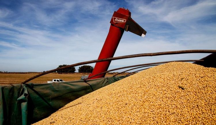 El maíz argentino es el más competitivo del mundo y acumula ventas récord de 16,8 millones de toneladas