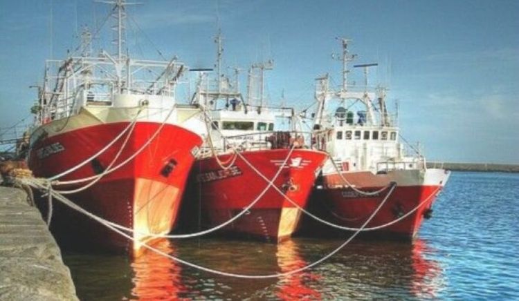 Los desembarques de abril cayeron 32,7% pero el acumulado del año avanza 14,3%