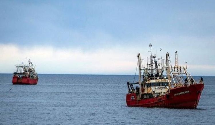 Cambios en el langostino: el Consejo Federal Pesquero suspendió los controles horarios y de velocidad por marea