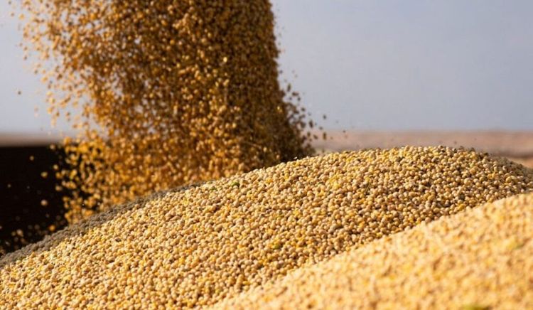 El agro exportó un récord de 50,4 millones de toneladas en los primeros cinco meses del año