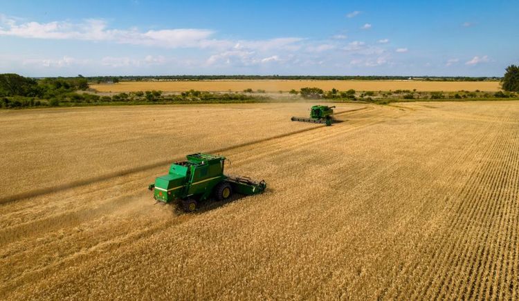 Santa Fe: El motor agroindustrial del país