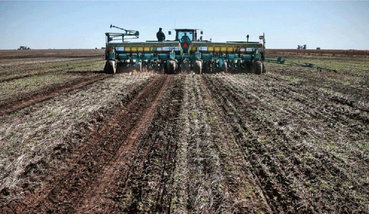 El ICA-ARG registró una suba del 0,2% en abril y encadenó seis meses consecutivos en terreno positivo