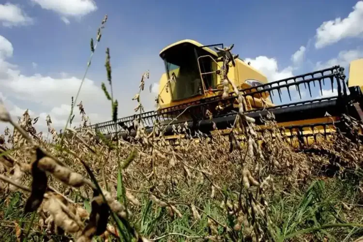 El Gobierno oficializó un programa de reducción gradual y permanente de las retenciones al campo