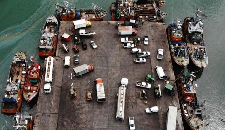 Las descargas de merluza crecieron un 6,1% en el primer sillar de 2026