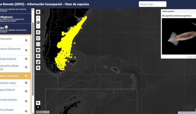 El INIDEP presentó un geovisor interactivo con datos de distribución de especies marinas recopilados desde 1981