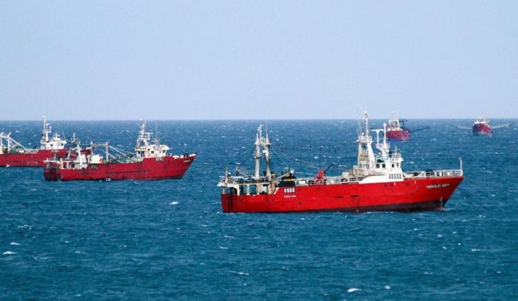 Disponen una nueva prospección de langostino en las subáreas 8 y 14 para evaluar su apertura comercial