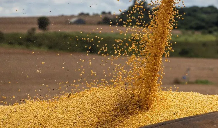 El INASE y la Secretaría de Agricultura, Ganaderia y Pesca fijaron el nuevo protocolo de control de identidad varietal en grano