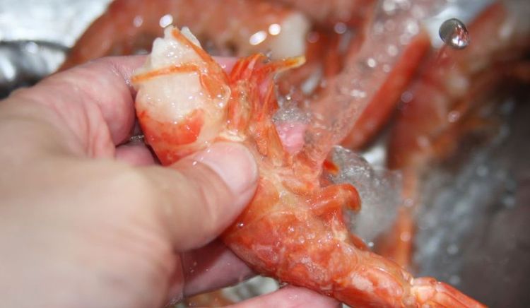 CONARPESA ratificó que incrementar la producción de colas de langostinos a bordo no atenta contra el trabajo en tierra ni provocará ningún daño ambiental