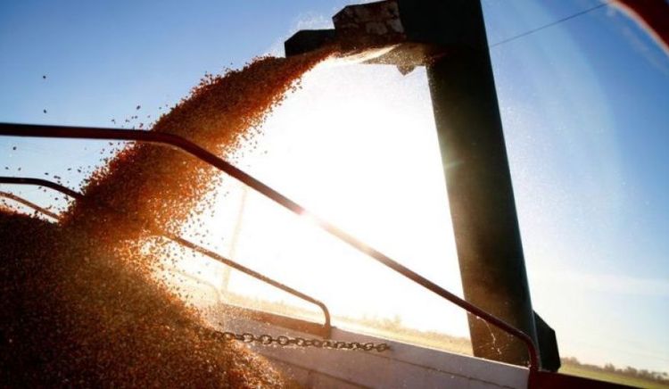 El agro acumuló USD 10.344 millones en cinco meses y encadena récords en molienda y exportaciones