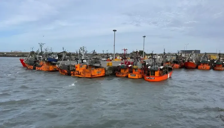 La pesca fresquera pidió la declaración de emergencia ante el CFP y reclamó medidas urgentes por costos y rentabilidad