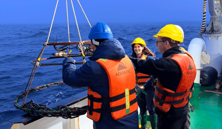 El INIDEP realizó una campaña de calibración de ecosonda y registro de imágenes submarinas