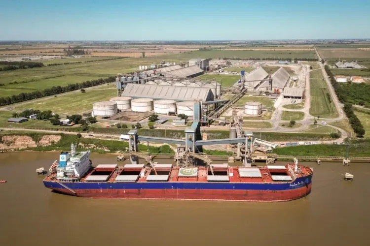Las economías regionales agroindustriales registraron un récord histórico de exportaciones por USD 11.313 millones