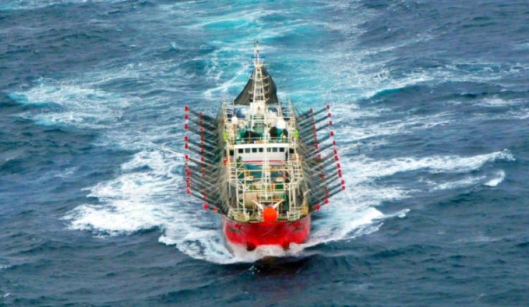 El Consejo Federal Pesquero modificó las condiciones para la explotación de calamar y estableció nuevas escalas de calificación