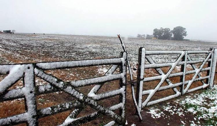 Frente de tormentas y lluvias localizadas precederán un ingreso masivo de aire polar en la región agrícola