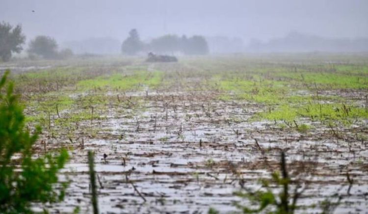 La Bolsa de Comercio de Rosario proyecta fuertes lluvias en la zona núcleo por El Niño hacia fin de año
