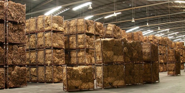 Misiones exportó US$533 millones en 2025 y lidera el NEA, con el tabaco explicando más de la mitad del crecimiento
